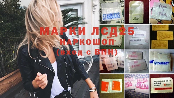 ПСИЛОЦИБИНОВЫЕ ГРИБЫ Михайлов