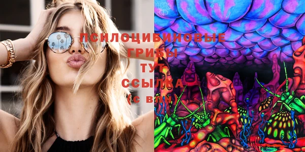 ПСИЛОЦИБИНОВЫЕ ГРИБЫ Михайлов