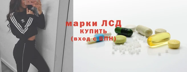 ПСИЛОЦИБИНОВЫЕ ГРИБЫ Михайлов