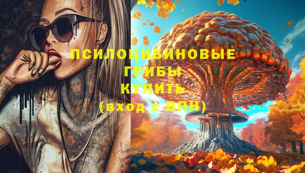 ПСИЛОЦИБИНОВЫЕ ГРИБЫ Михайлов