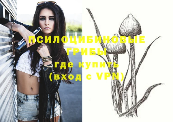 ПСИЛОЦИБИНОВЫЕ ГРИБЫ Михайлов
