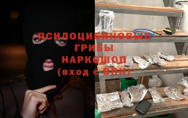 ПСИЛОЦИБИНОВЫЕ ГРИБЫ Михайлов