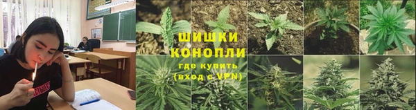 ПСИЛОЦИБИНОВЫЕ ГРИБЫ Михайлов