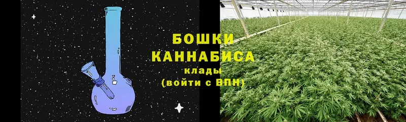 продажа наркотиков  Шлиссельбург  Бошки Шишки индика 